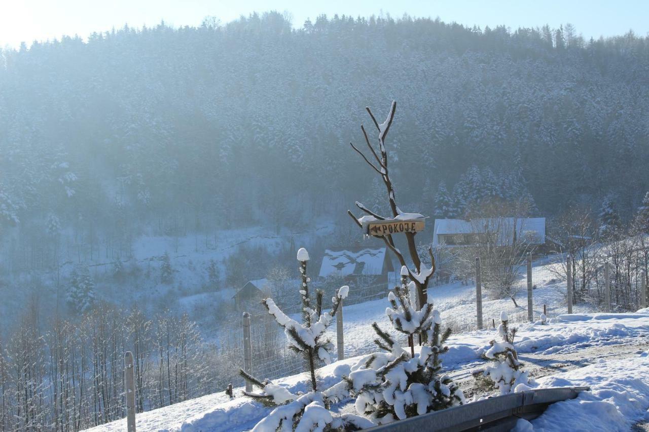 Nad Zalewem Farm stay *