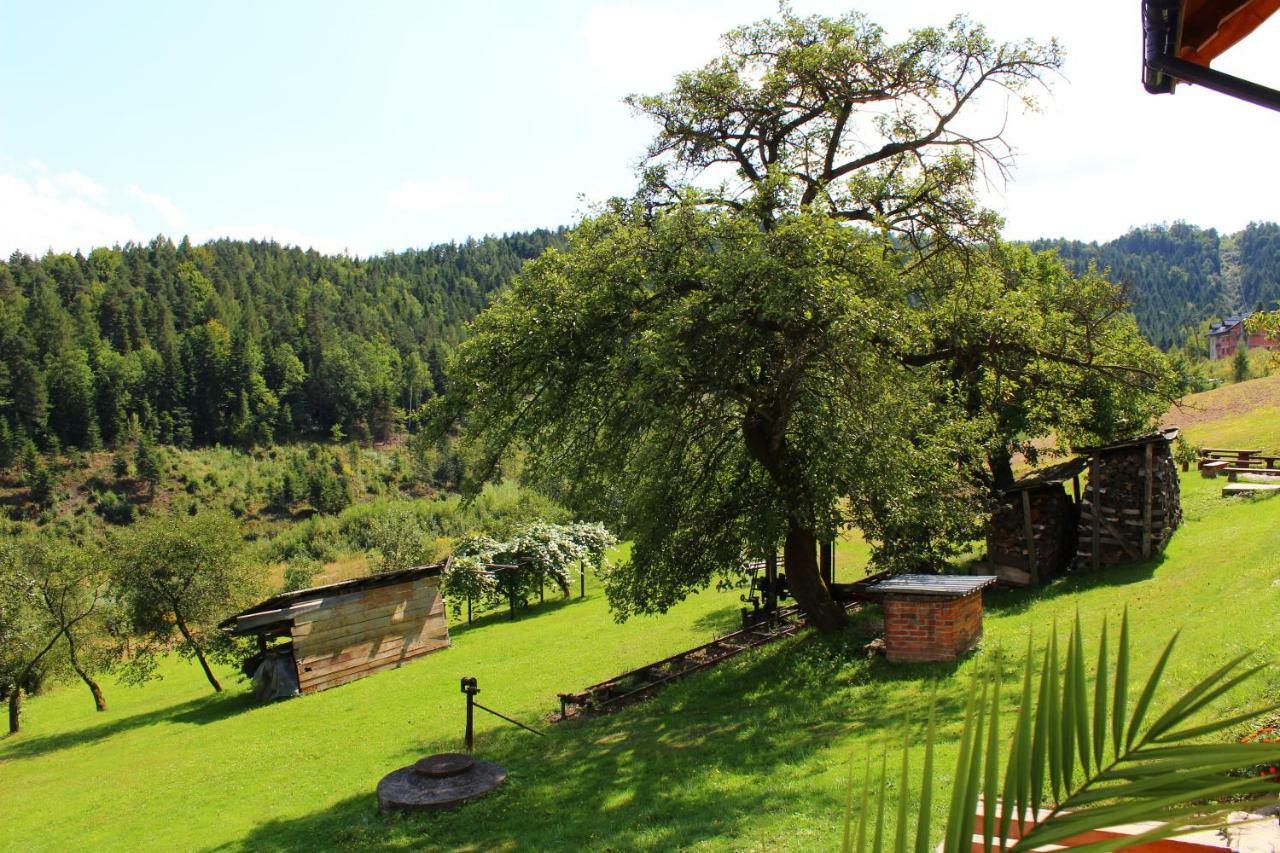 Farm stay Nad Zalewem